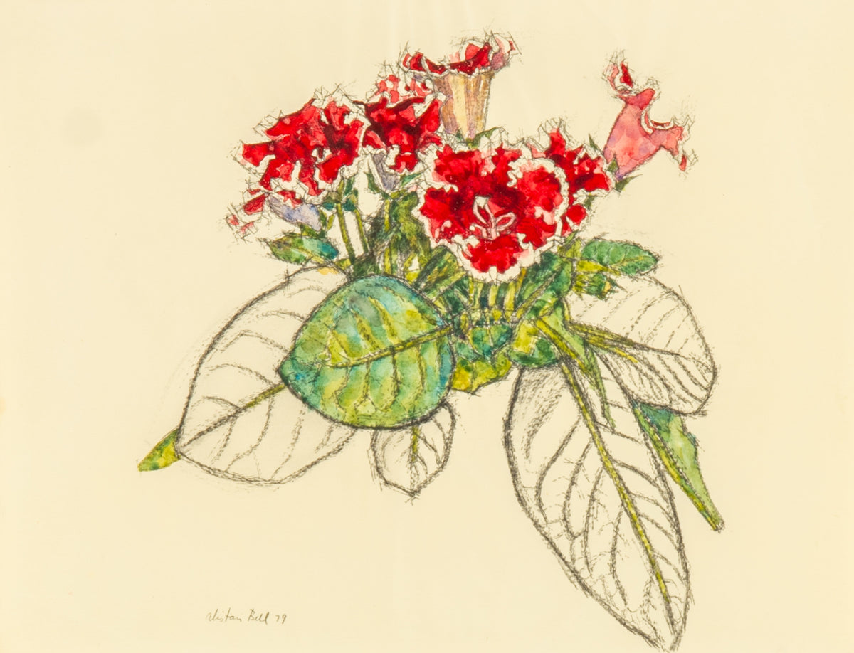 Alistair Bell, Untitled (Gloxinia Flower), 1979. Poor (creases through image & buckled paper at top).