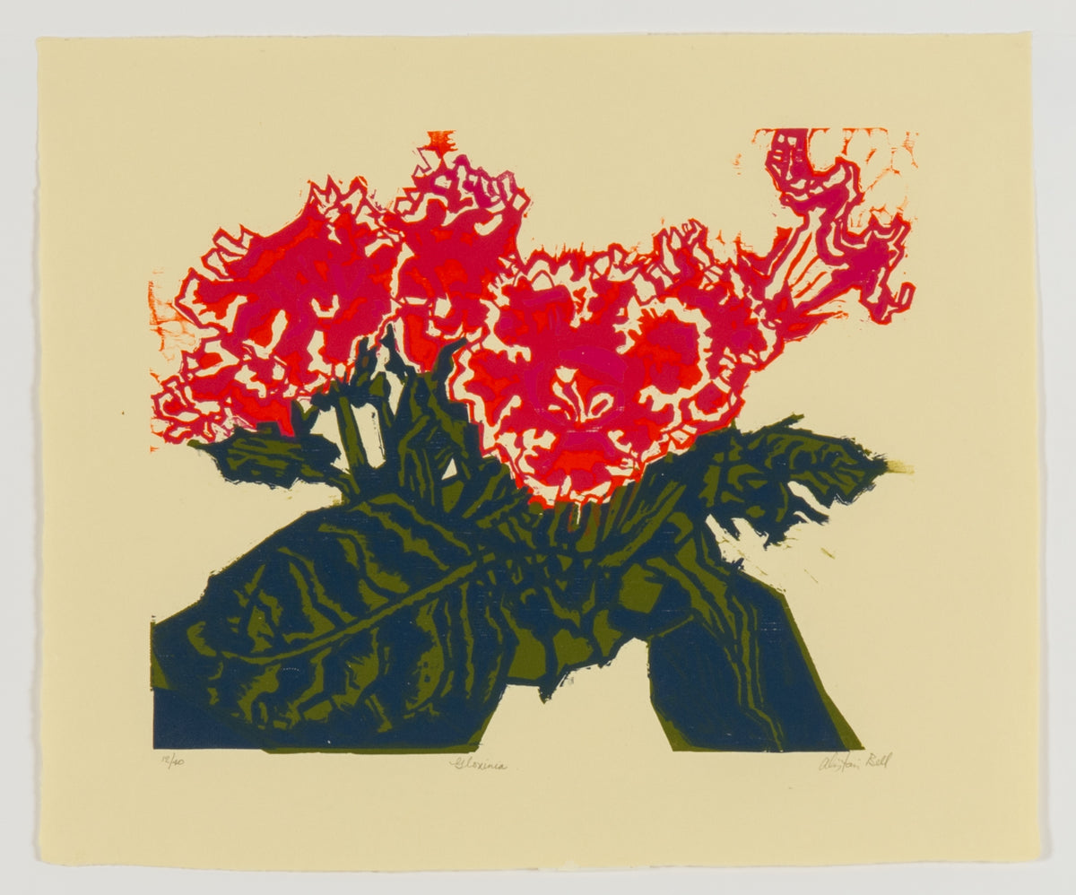 Alistair Bell, Gloxinia, 1980