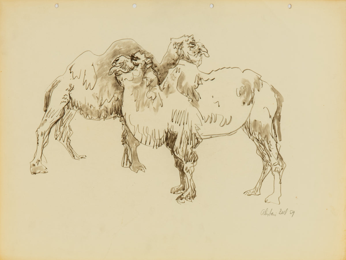 Alistair Bell, Bactrian Camels, 1959