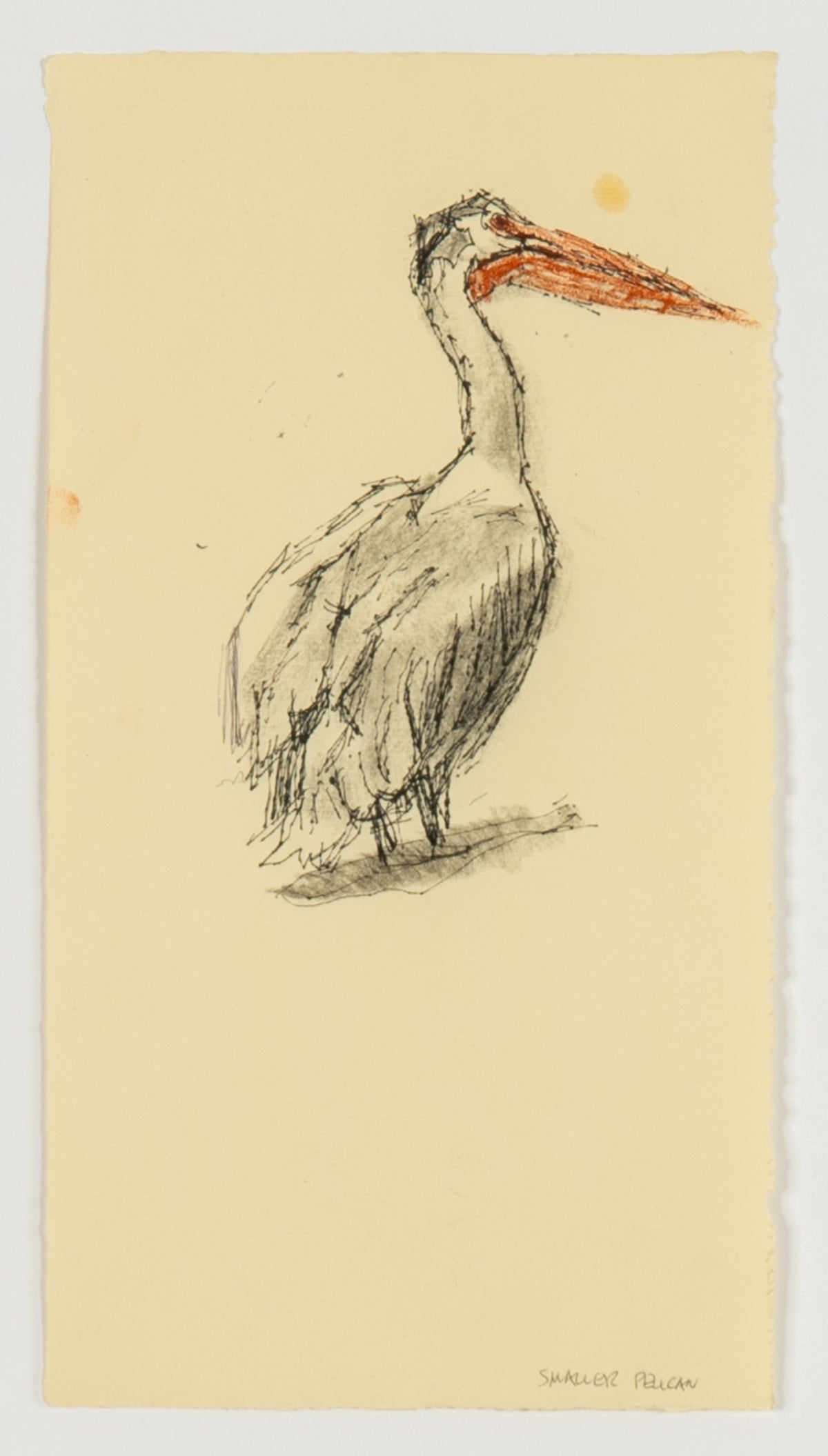 Alistair Bell, Untitled (Pelican (A)), 1996