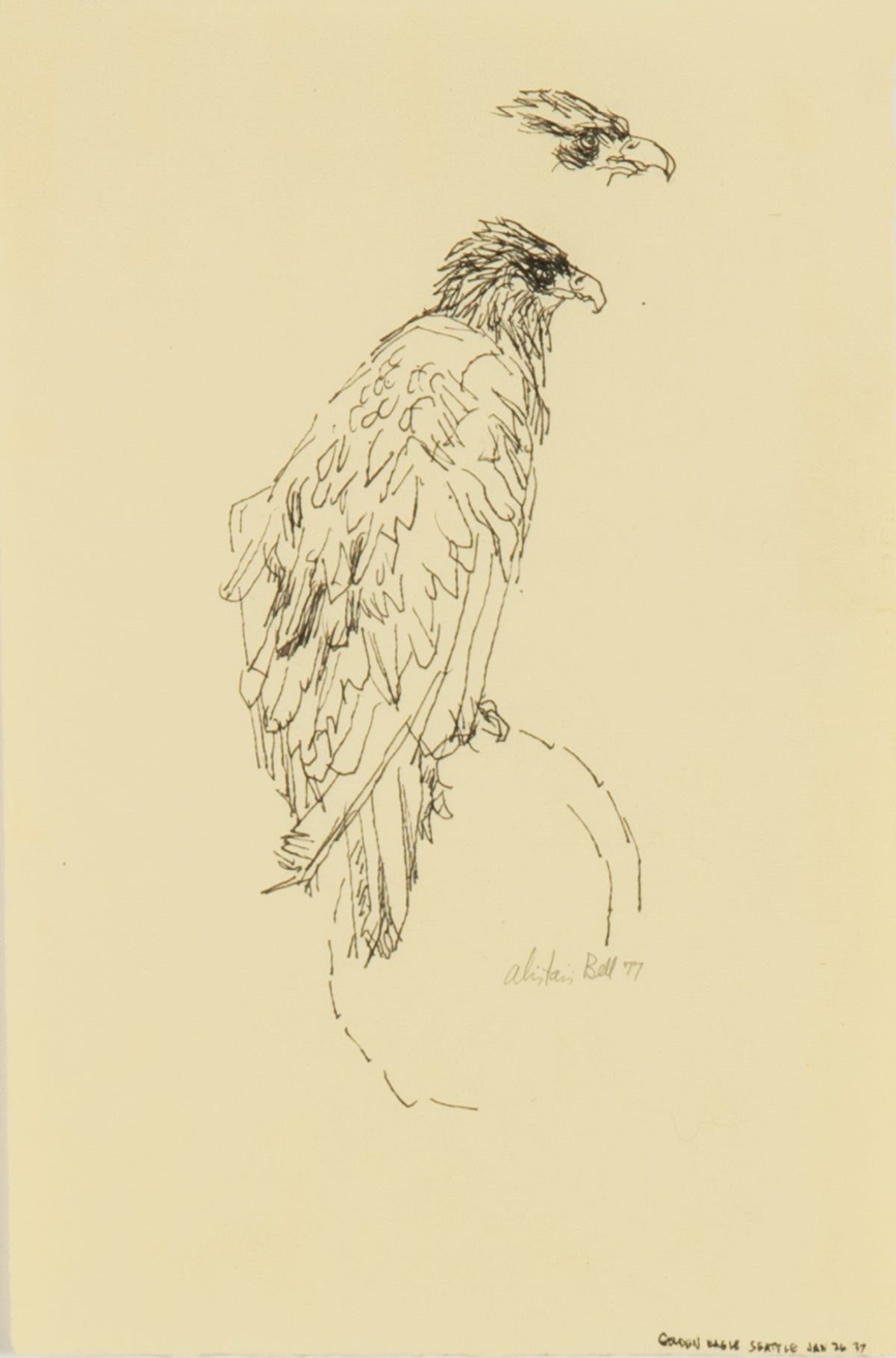 Alistair Bell, Golden Eagle Seattle, 1977