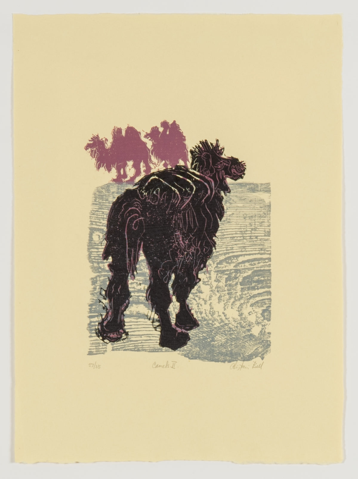 Alistair Bell, Camel II, 1969