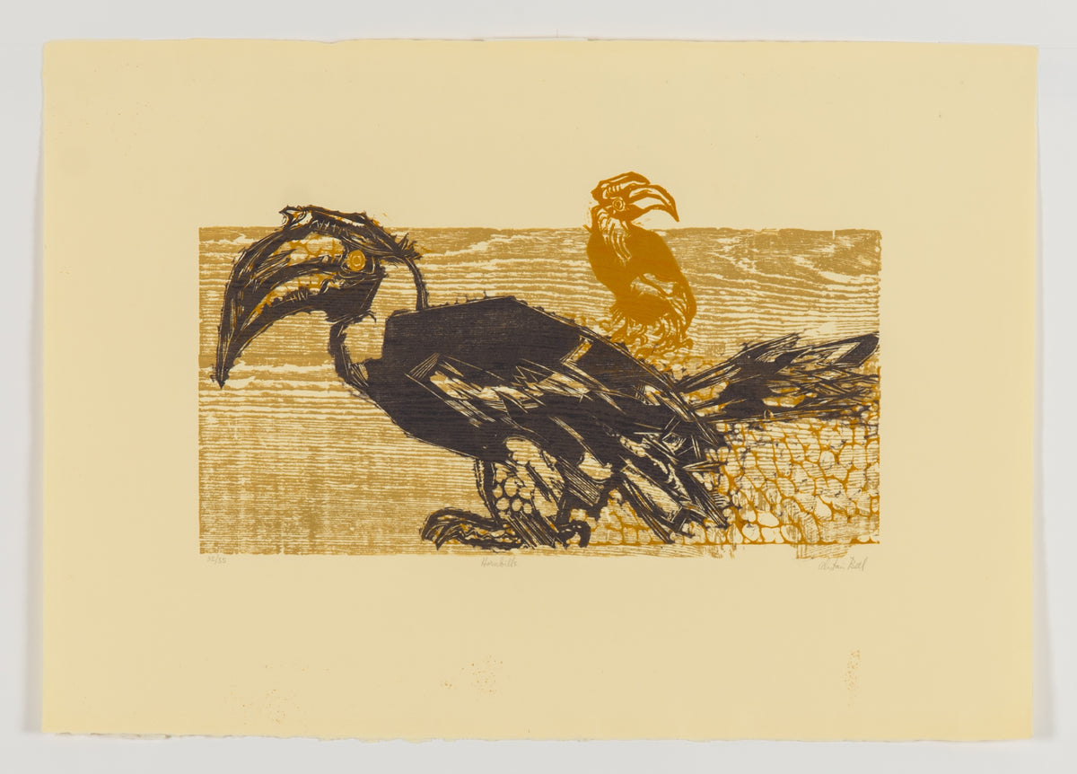 Alistair Bell, Hornbills, 1970