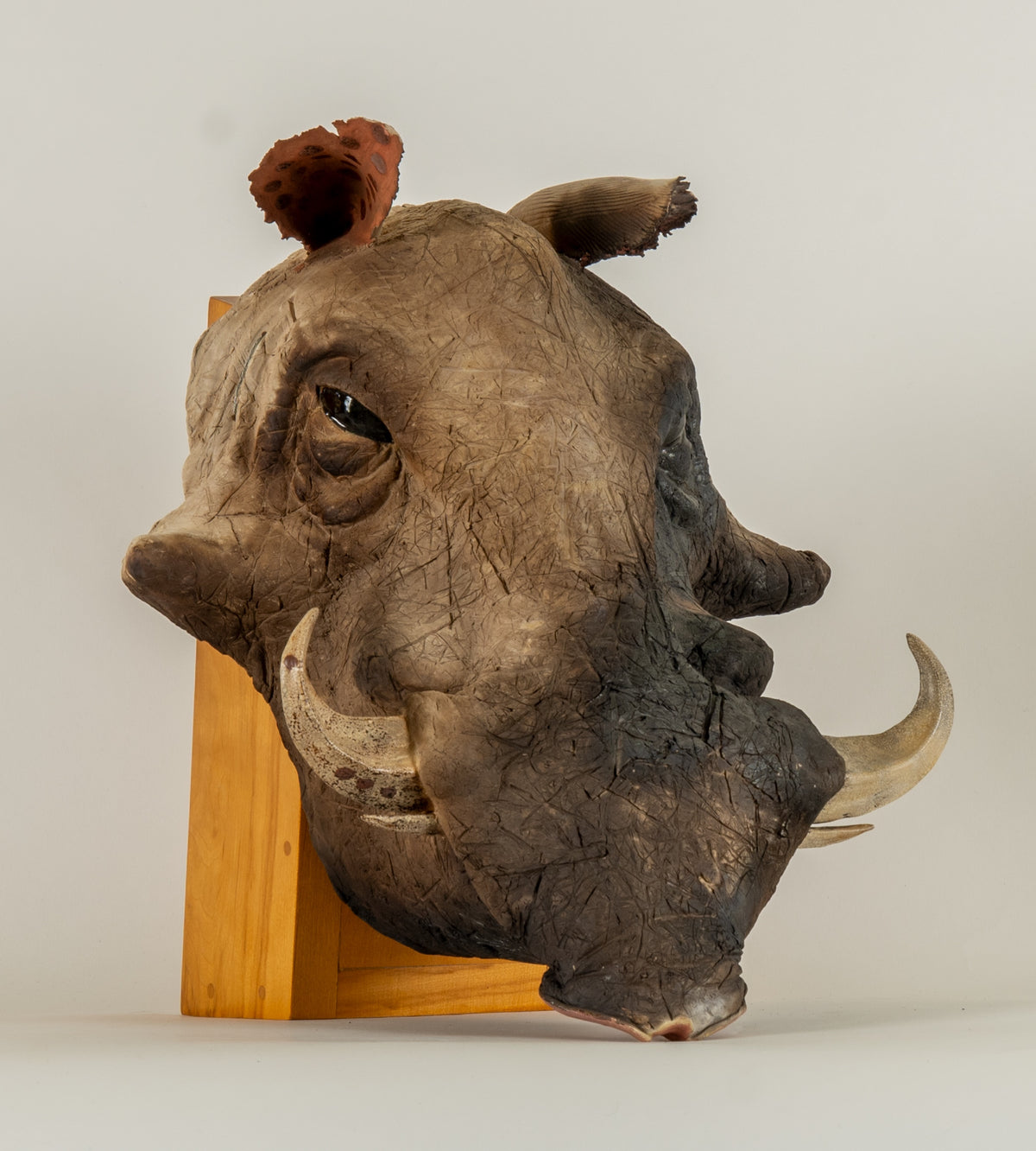 Penny Birnbaum, Warthog, 1994 View 1 of 2.