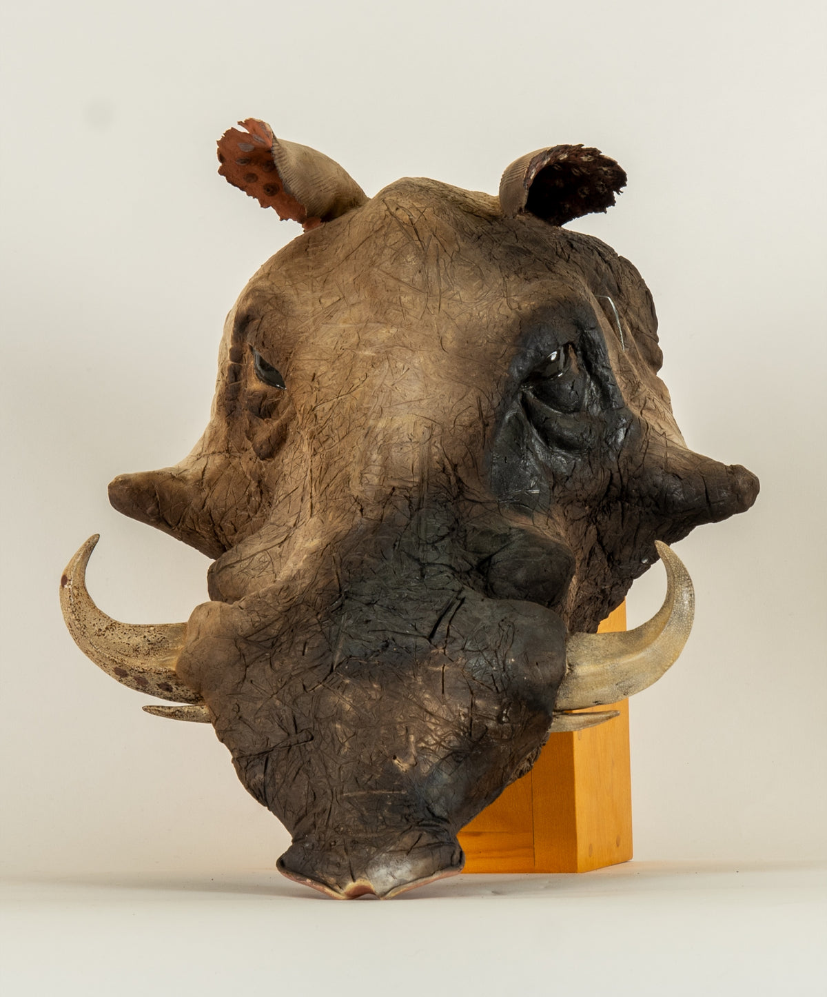 Penny Birnbaum, Warthog, 1994 View 2 of 2.