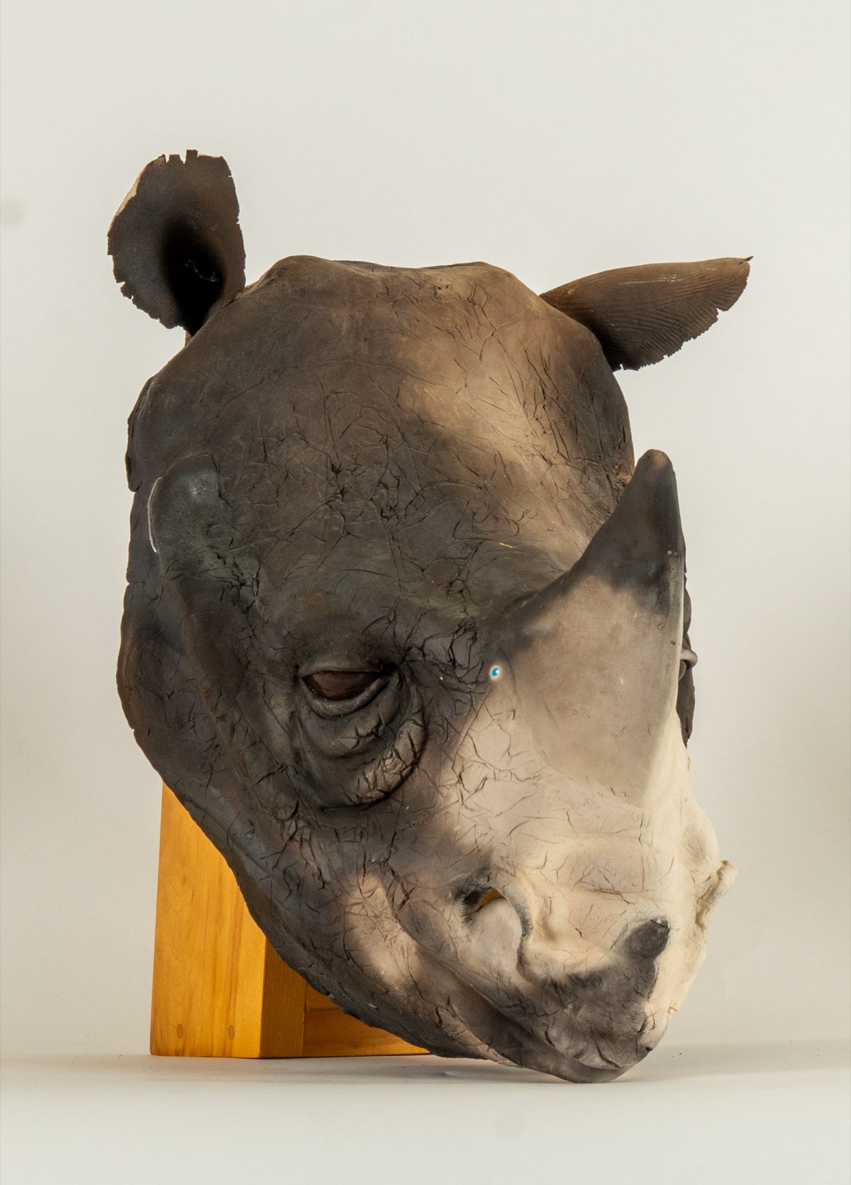 Penny Birnbaum, Rhino, 1994 View 1 of 2.