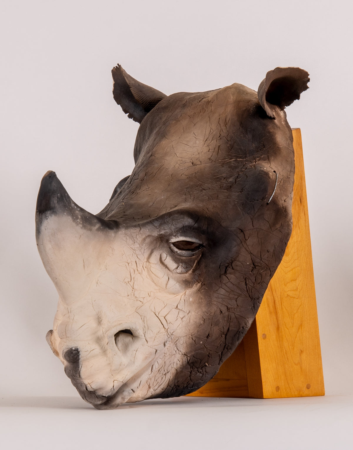 Penny Birnbaum, Rhino, 1994 View 2 of 2.