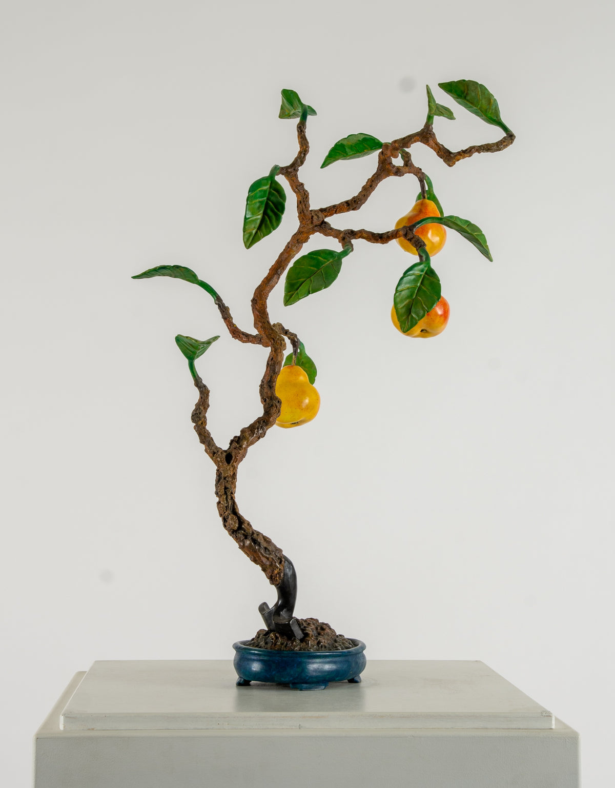 Victor Cicansky, Mountain Pear Bonsai, 2009 View 1 of 2.
