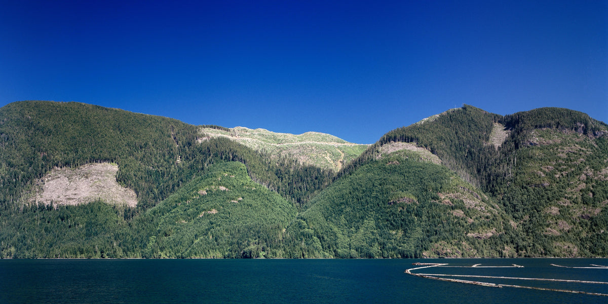 Stan Douglas, View of Clearcuts from Blowhole Bay, 1996. A photograph of a mountainscape by a body of water against a clear blue sky.