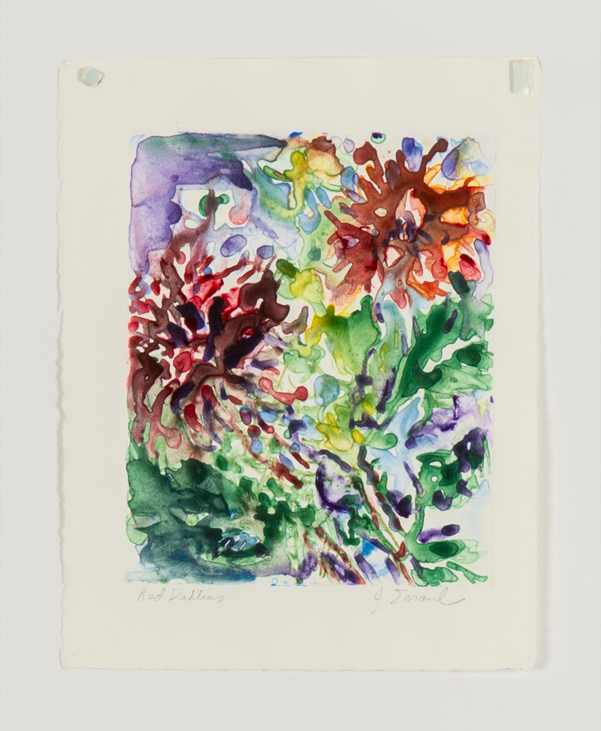 Jamie Evrard, Red Dahlias