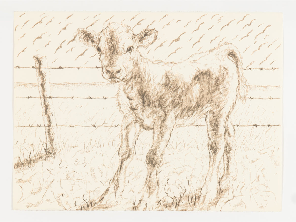 Joe Fafard, Barb - Working Copy, 1991