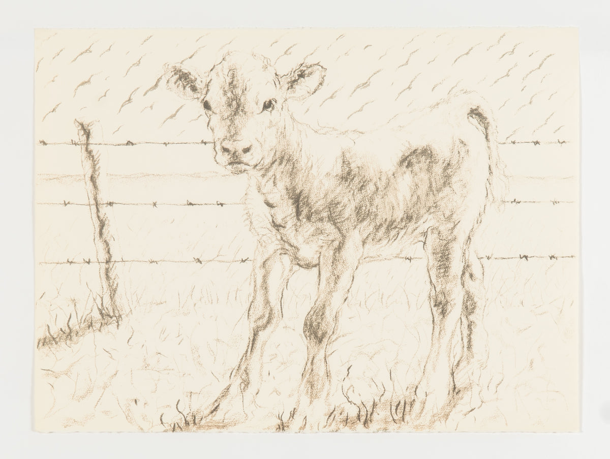 Joe Fafard, Barb - Working Copy, 1991
