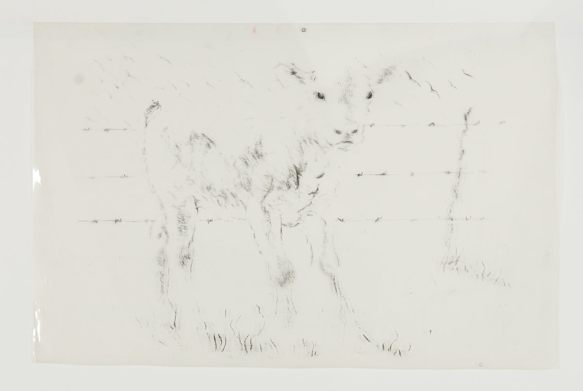 Joe Fafard, Barb - Transparency, 1991