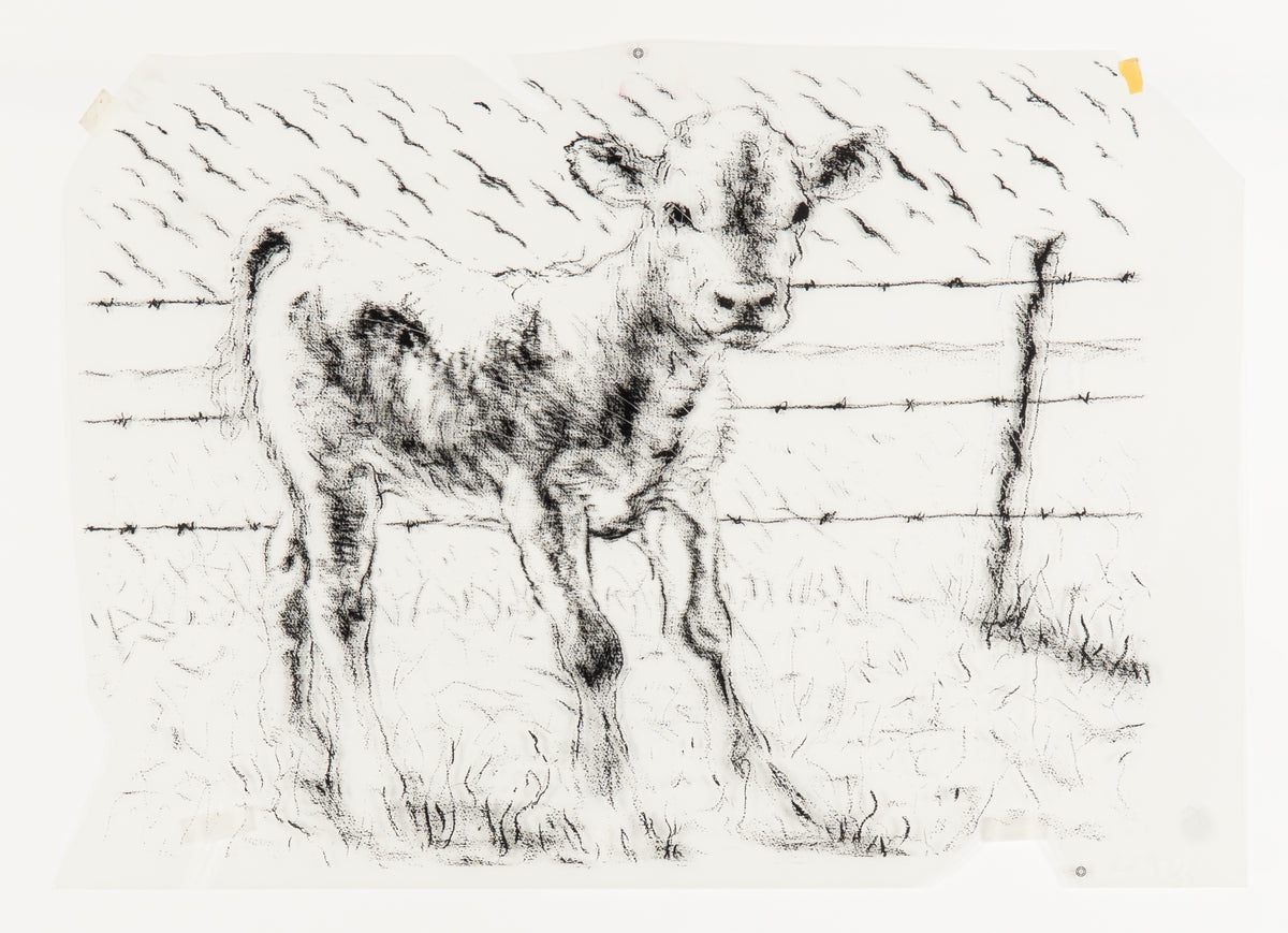 Joe Fafard, Barb - Transparency, 1991