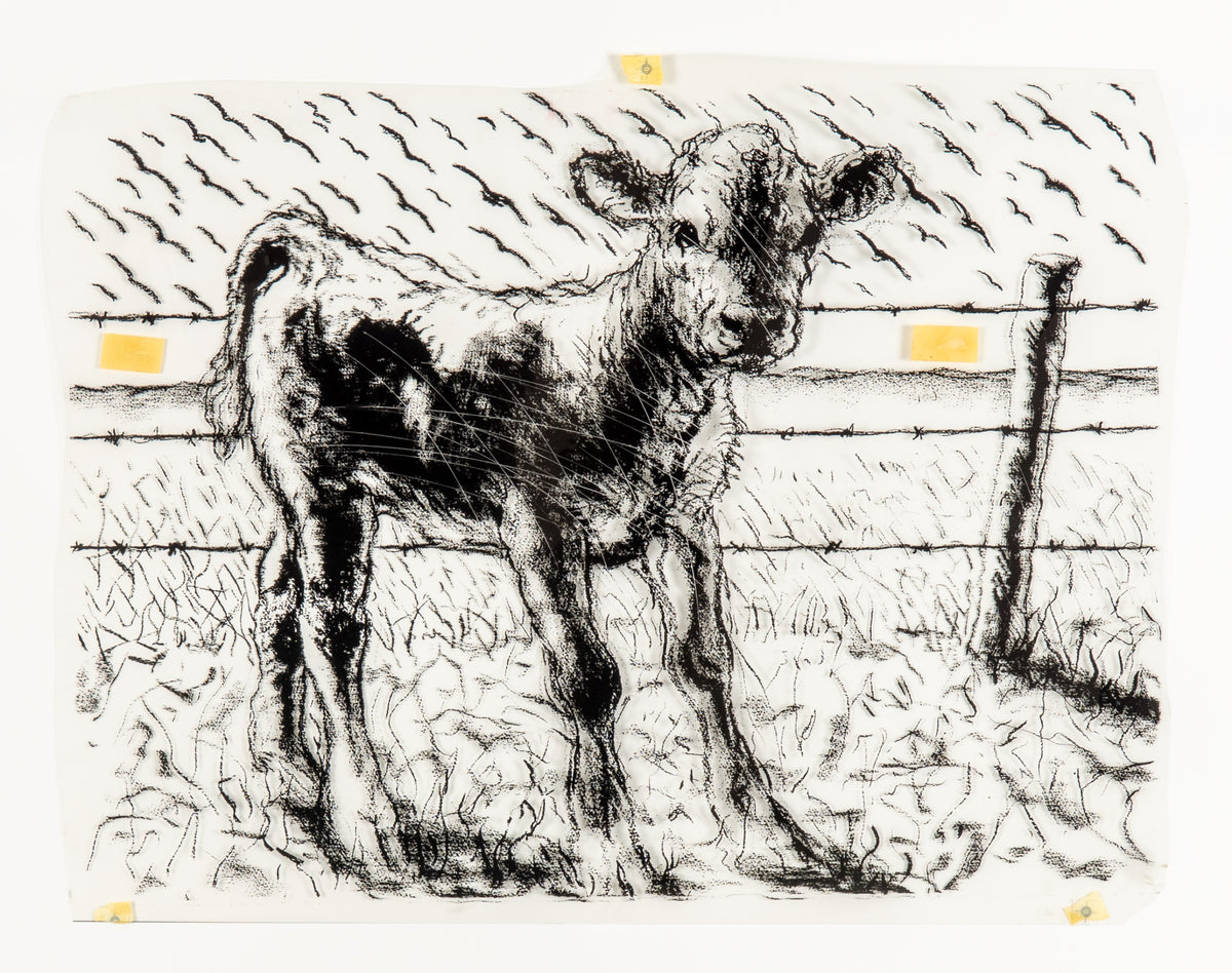 Joe Fafard, Barb - Transparency, 1991