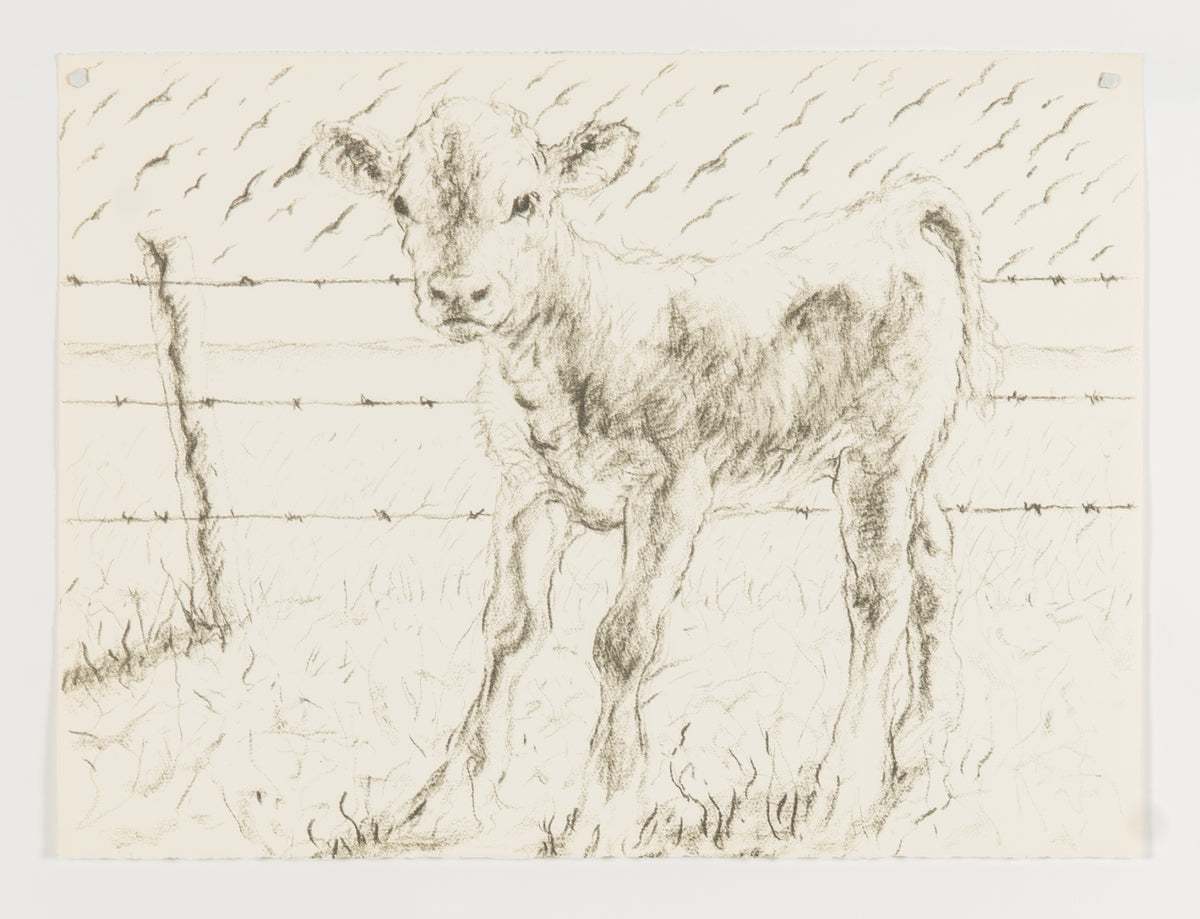 Joe Fafard, Barb - Working Copy, 1991