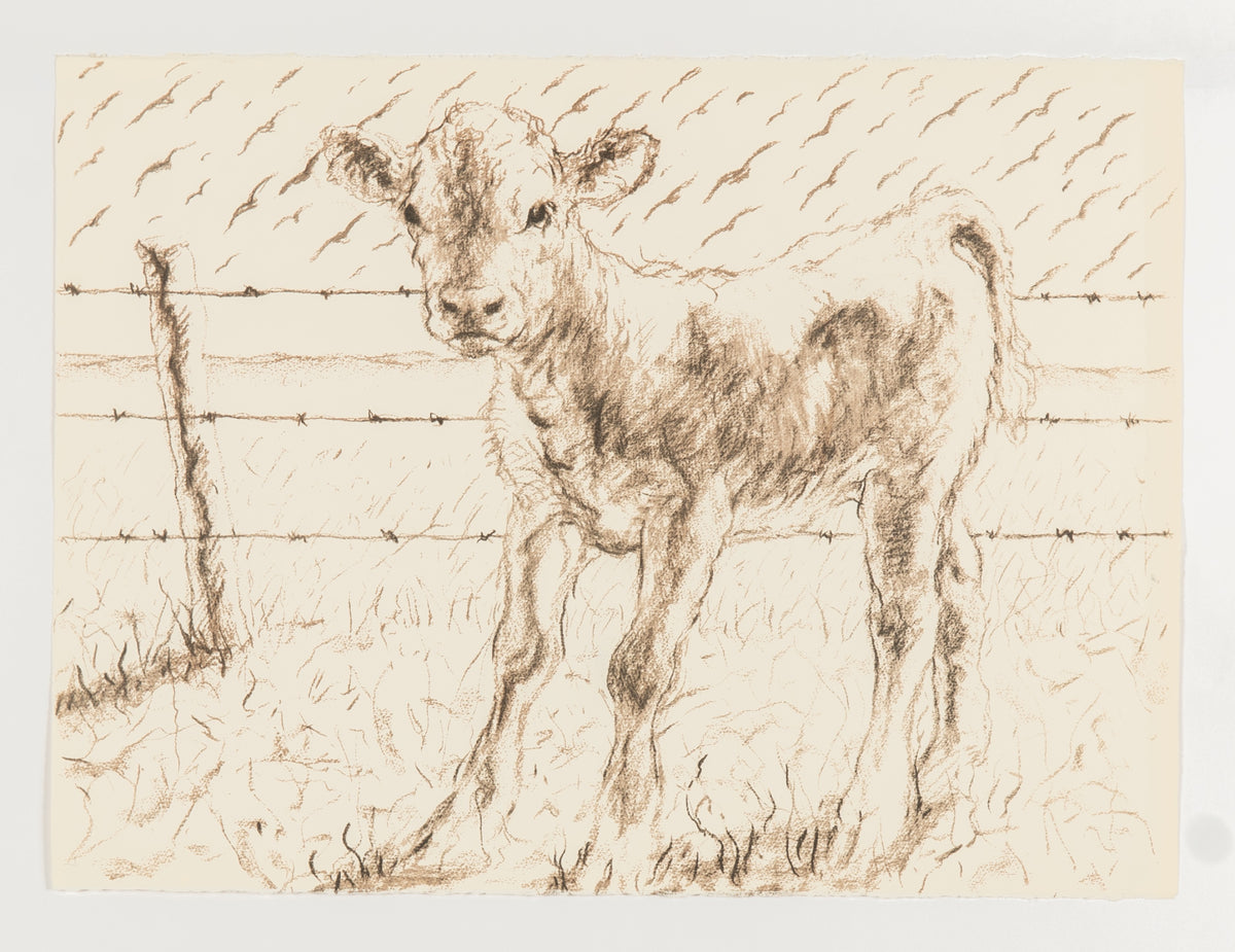 Joe Fafard, Barb - Working Copy, 1991