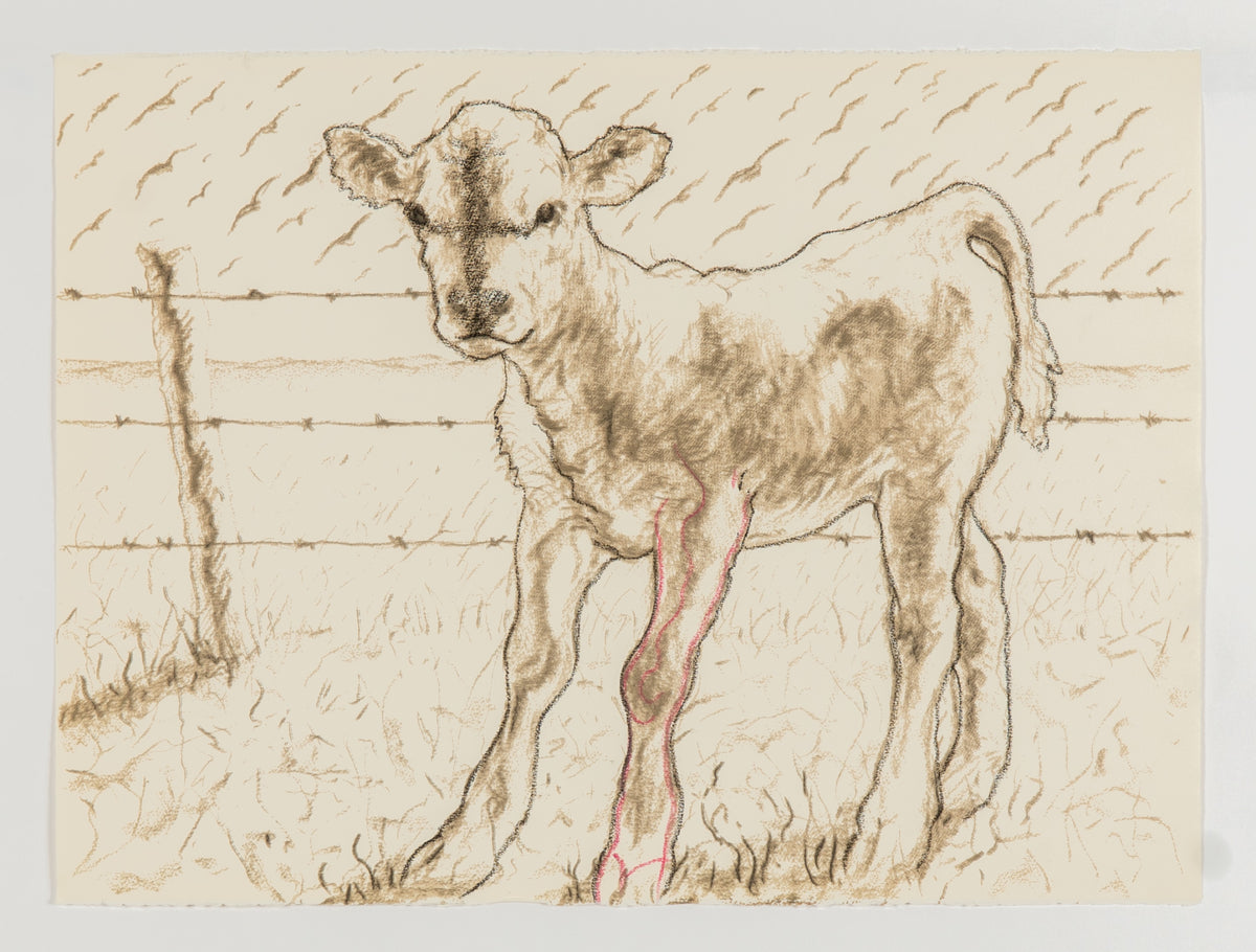 Joe Fafard, Barb - Working Copy, 1991