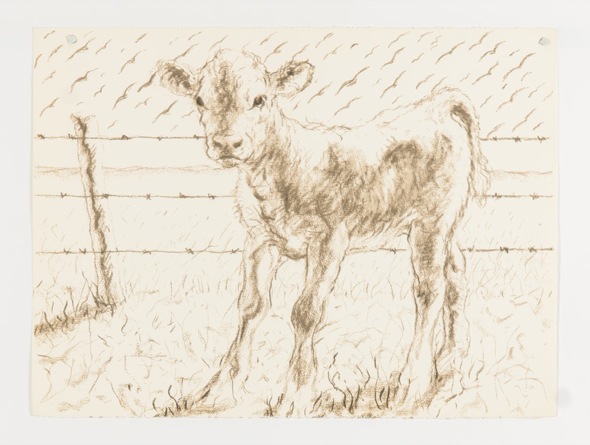 Joe Fafard, Barb - Working Copy, 1991