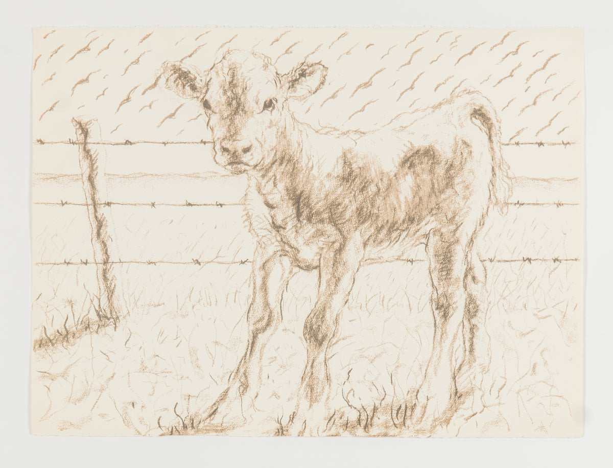 Joe Fafard, Barb - Working Copy, 1991