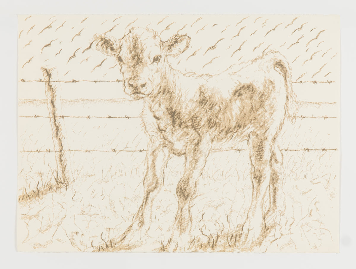 Joe Fafard, Barb - Working Copy, 1991