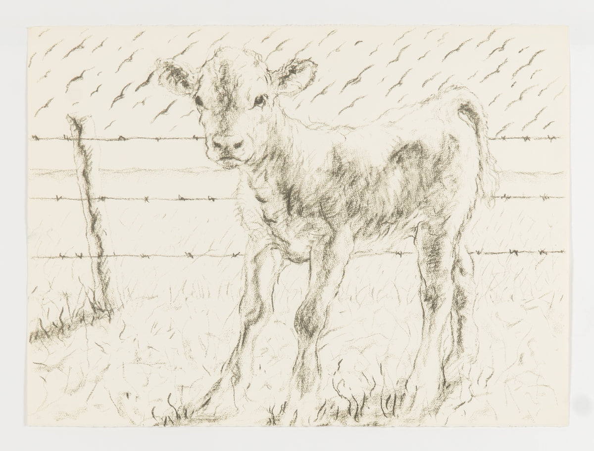 Joe Fafard, Barb - Working Copy, 1991