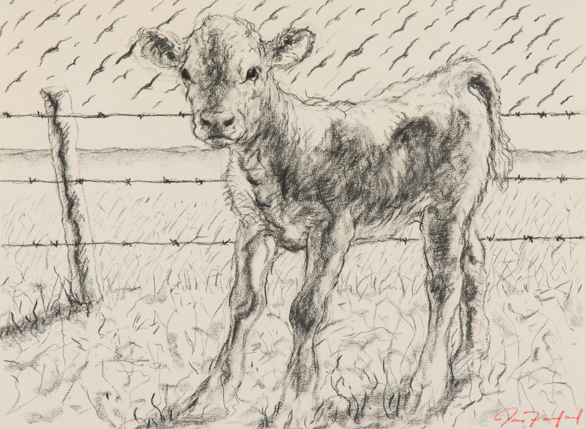 Joe Fafard, Barb (drawing), 1991