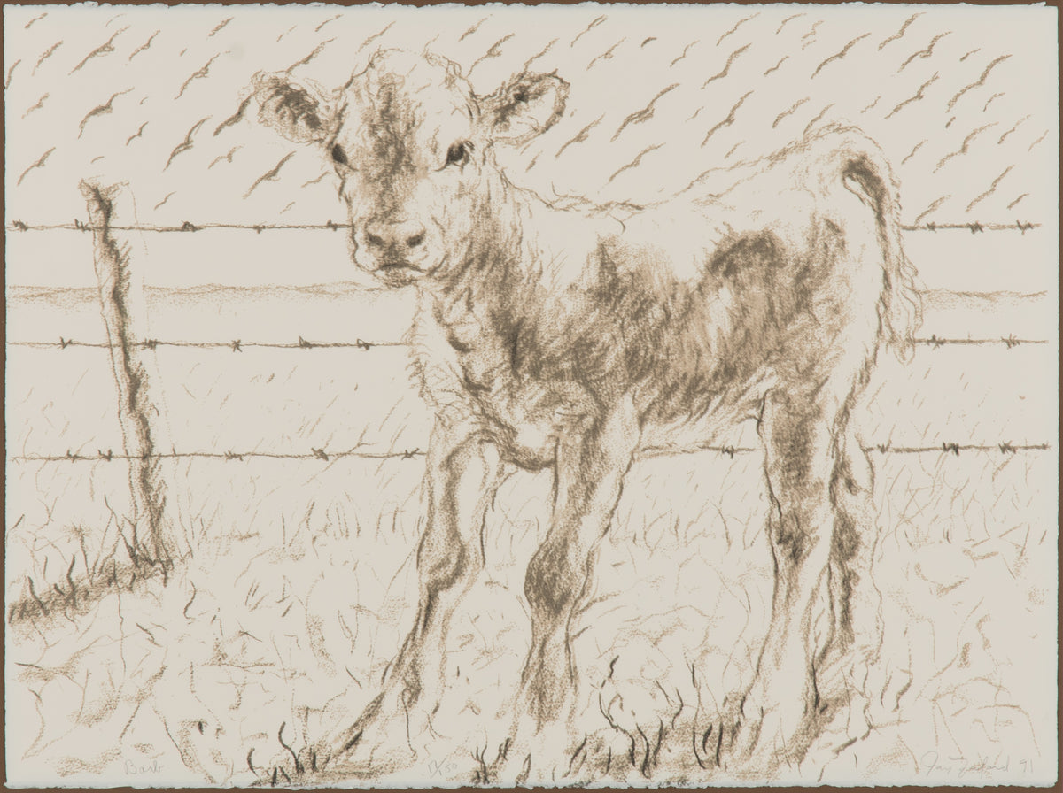 Joe Fafard, Barb, 1991. Depiction of a lamb, standing on grass, with a barb fence in the background.