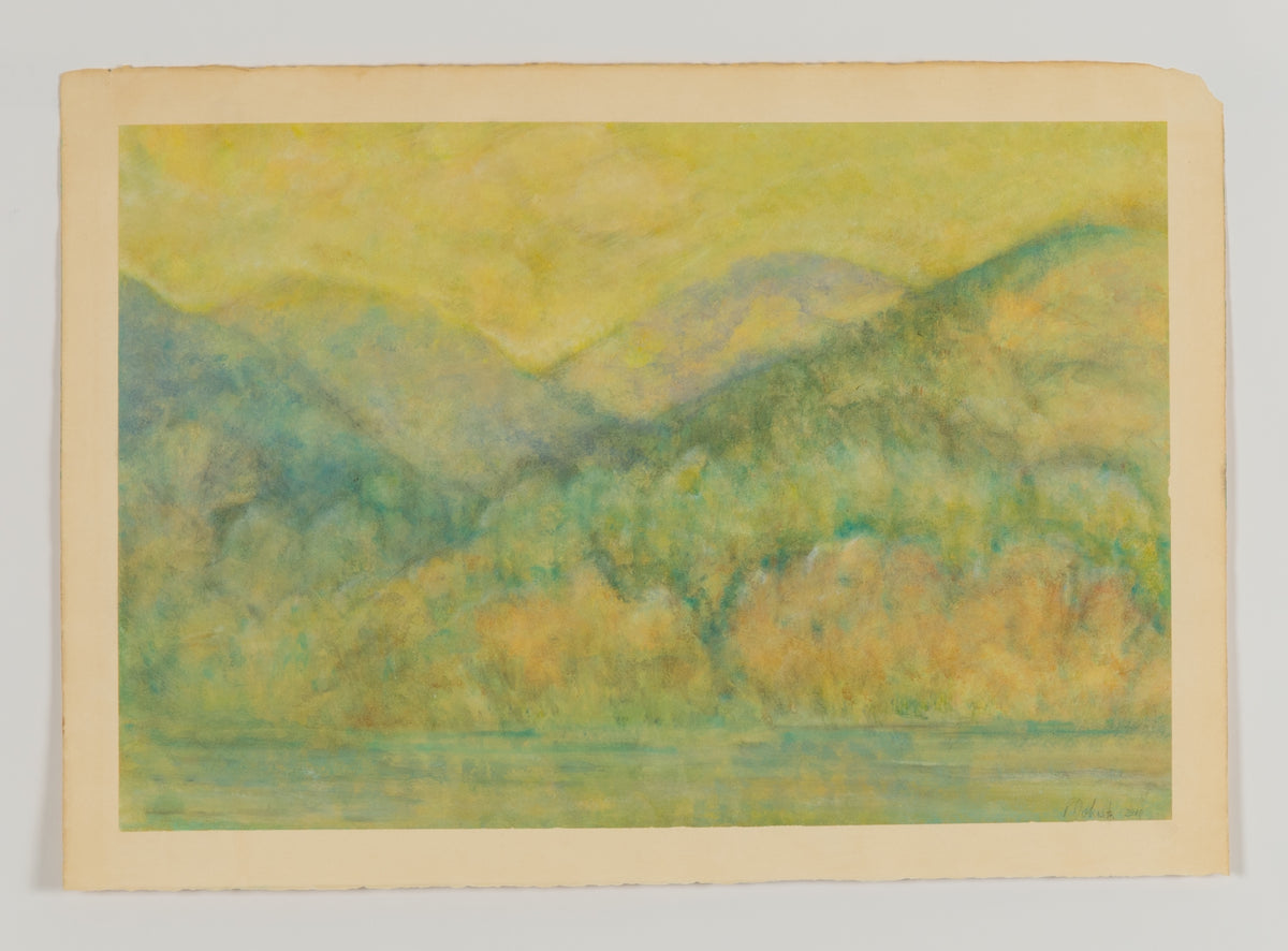 Patricia Johnston, Untitled [No. 1], July 2010.