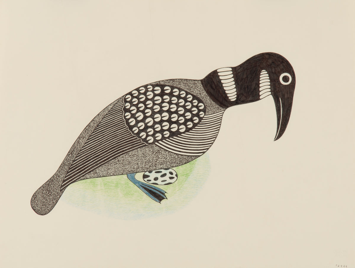 Kenojuak Ashevak, Untitled [Bird], 1992
