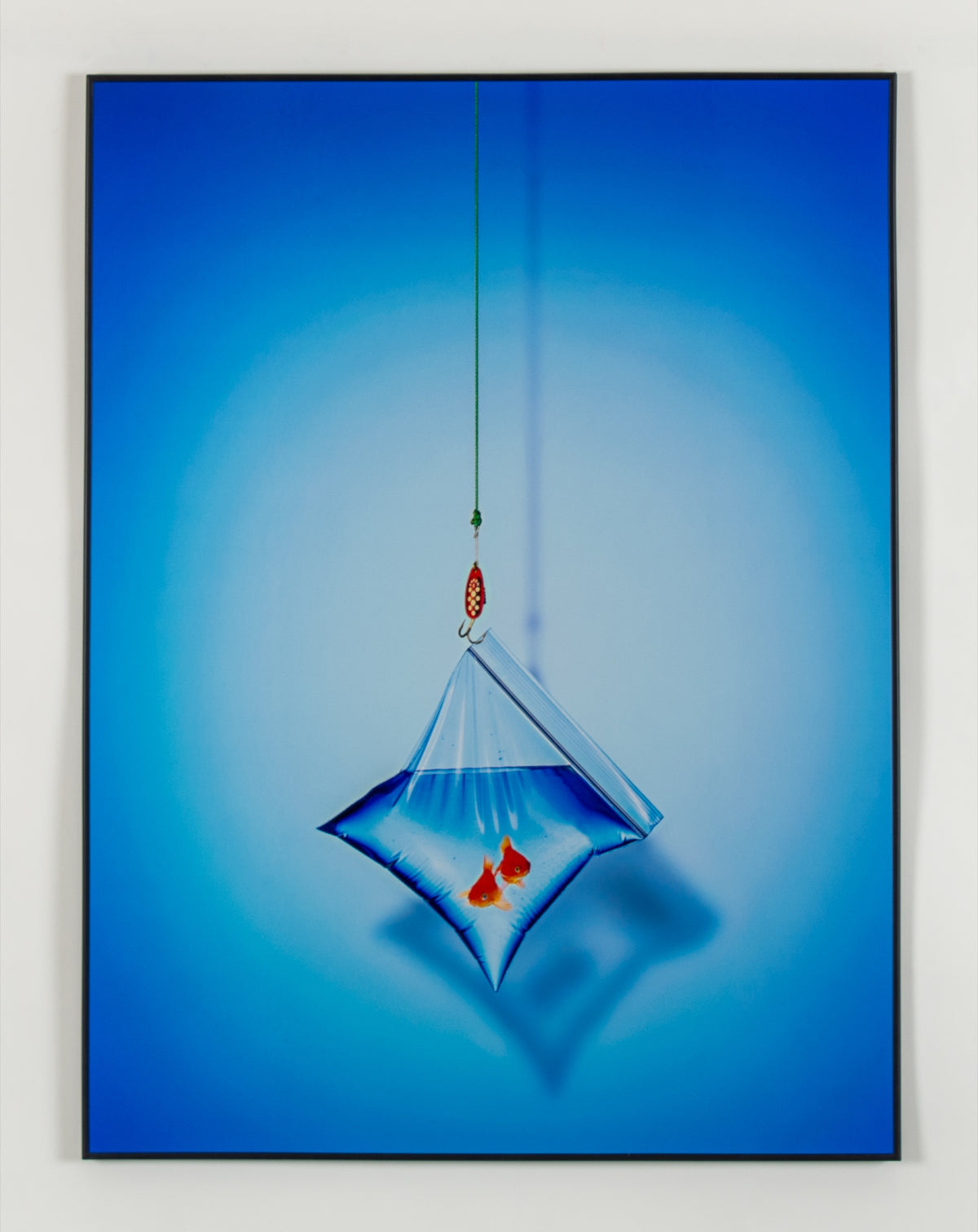 Michael Kim, Fish, 2009