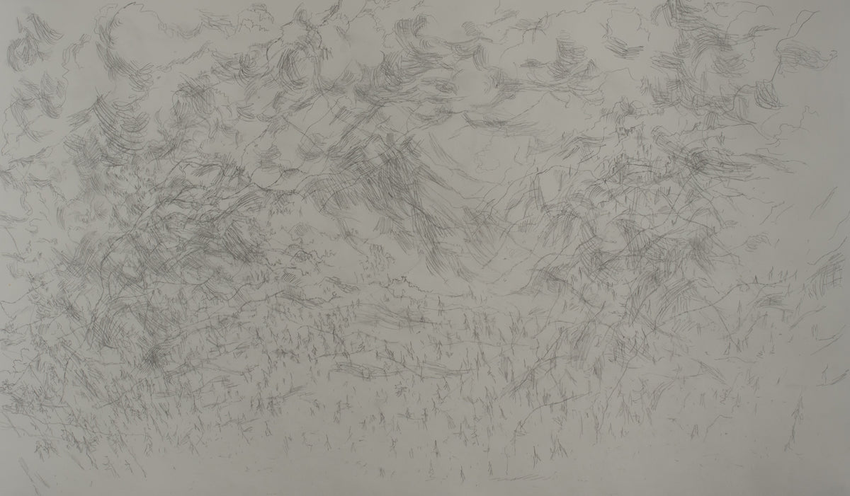 Ann Kipling, June 14, 2007. Abstract drawing, composed of multiple lines, rendered in pencil.