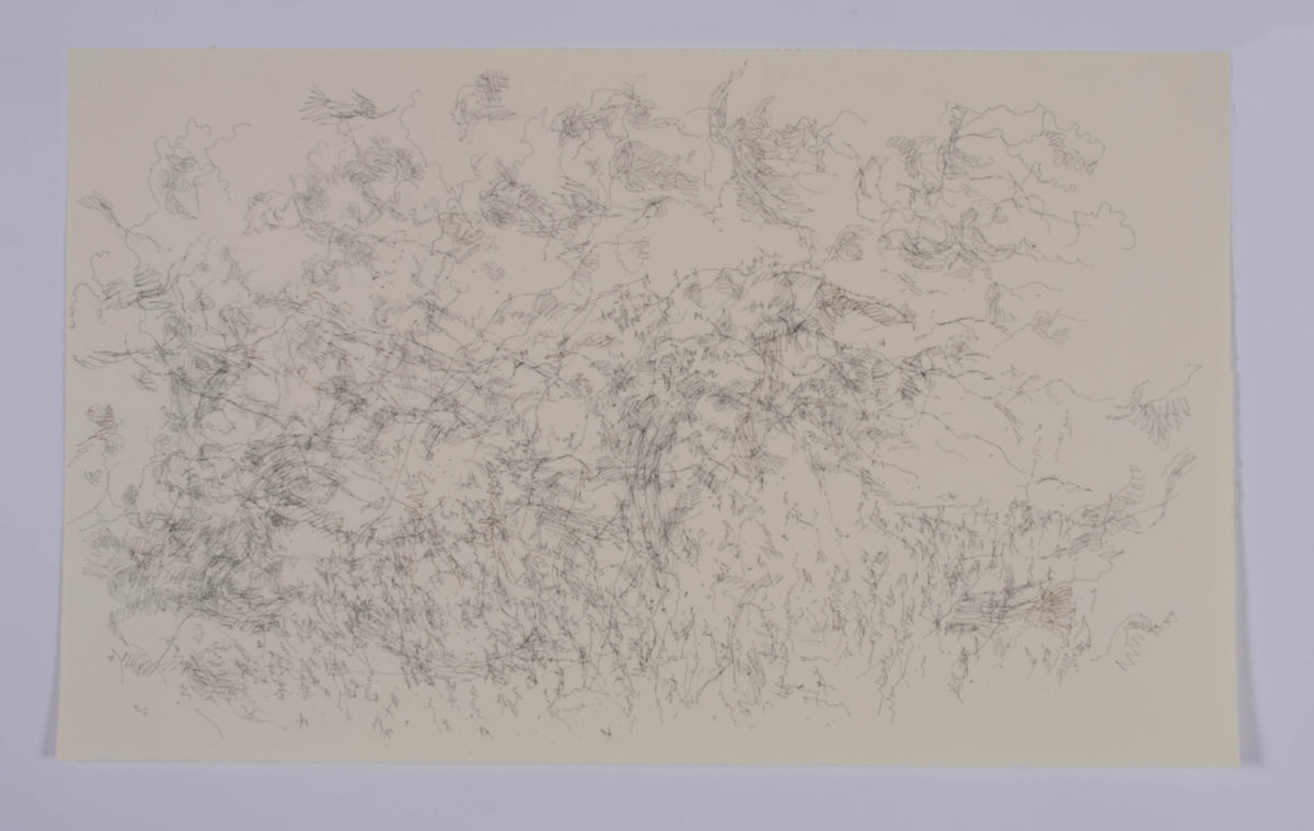 Ann Kipling, Untitled (Landscape #1-2009), 2009