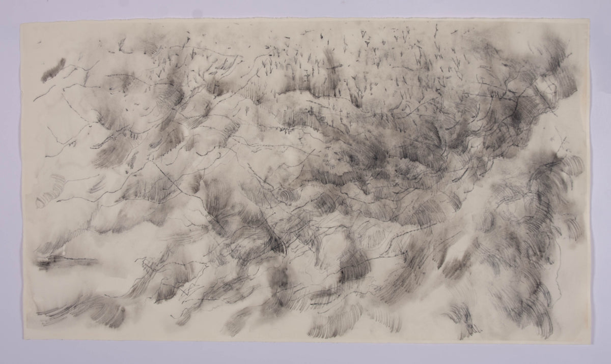 Ann Kipling, Untitled (Landscape), 2005