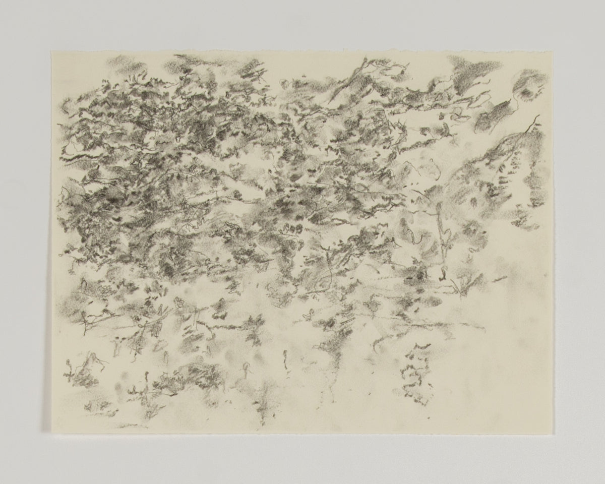Ann Kipling, Winter Landscape #1, 1982