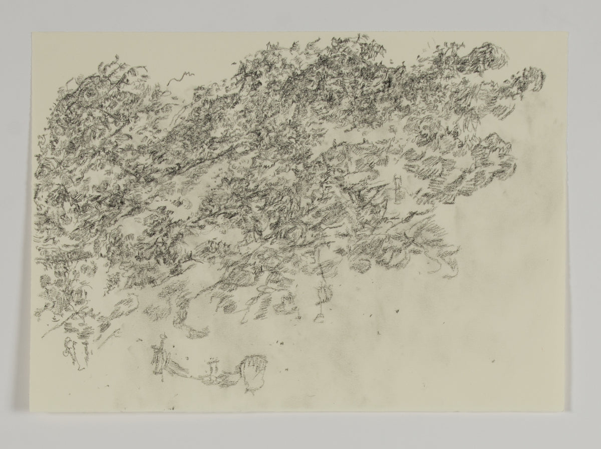 Ann Kipling, Tuktakamin Mountain Series #3, 1983