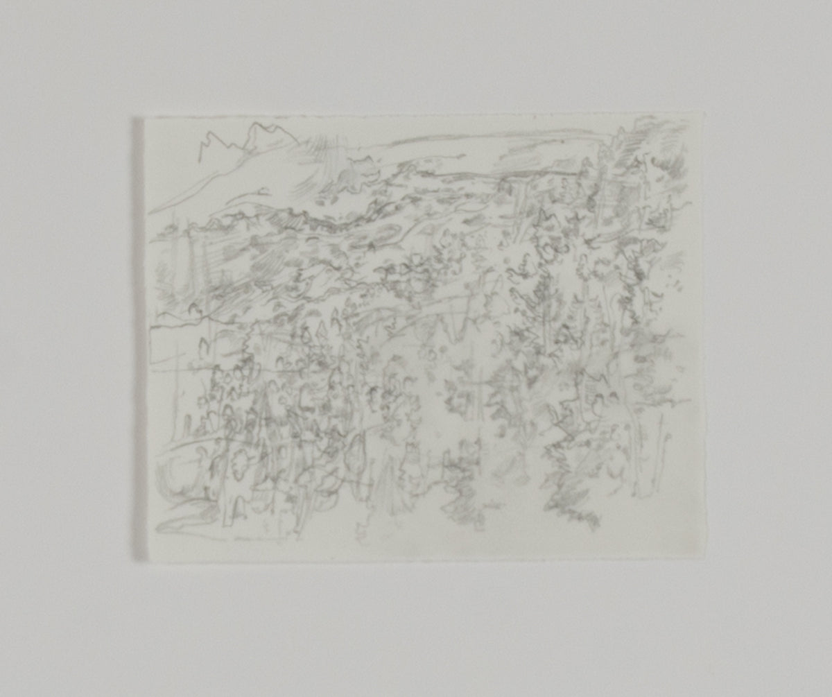 Ann Kipling, Untitled (Landscape #2), 1980