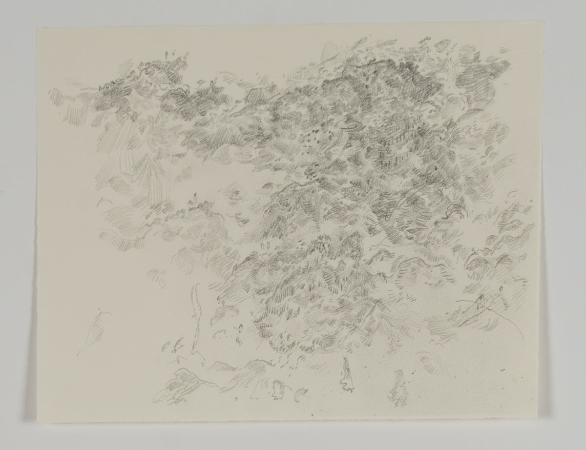 Ann Kipling, Untitled (Landscape), 1978