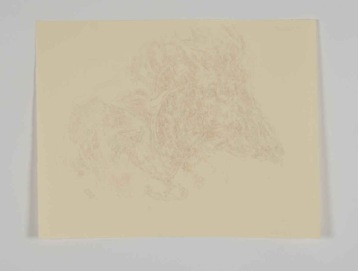 Ann Kipling, Large Goat, 1974. Drawing of a large goat.