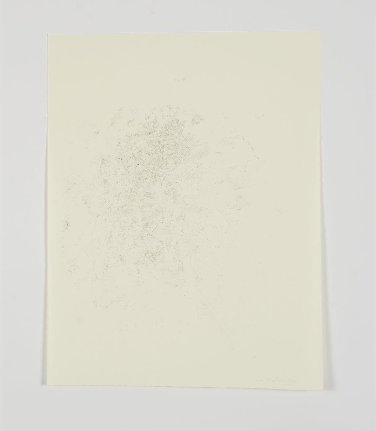 Ann Kipling, Untitled (Begonia Leaf), 1970