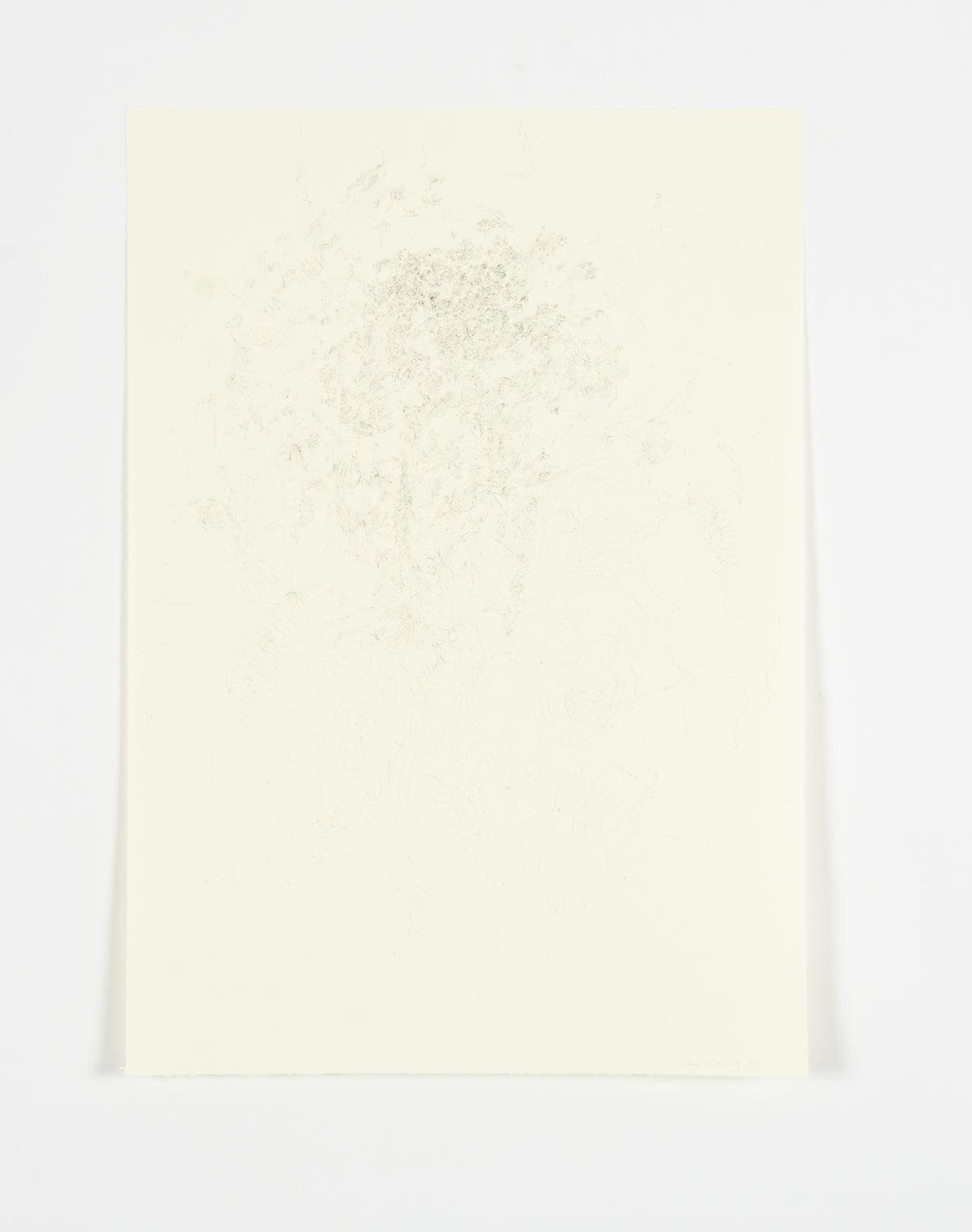 Ann Kipling, Untitled (Begonia Leaf), 1970