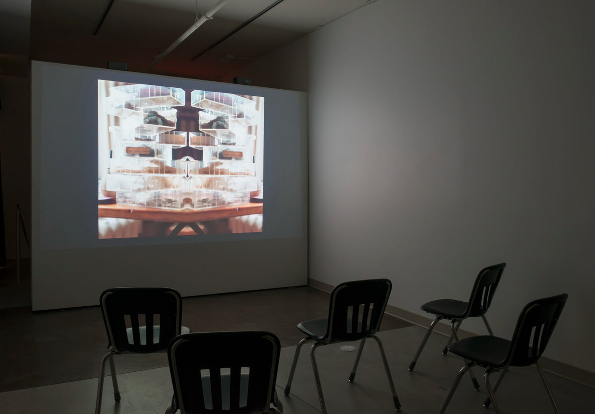 A video of mirrored clear plastic boxes is projected on a wall in a darkened room, with black school chairs facing it