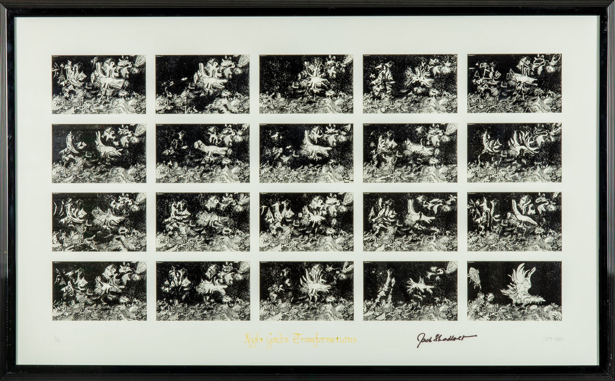 Jack Shadbolt, Night Garden Transformations, 1973-1989