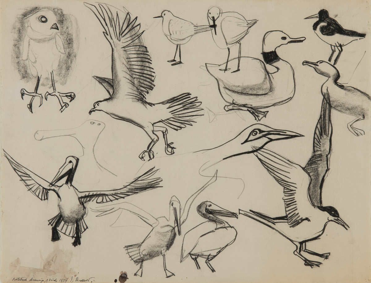 Jack Shadbolt, Drawing of Birds, 1954. Black and white drawings of various of bird types against a white background.