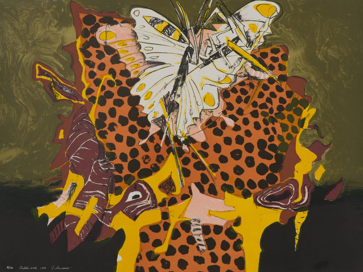 Jack Shadbolt, Captive White, 1993. A butterfly on an abstract brightly colour object against a muted green background.