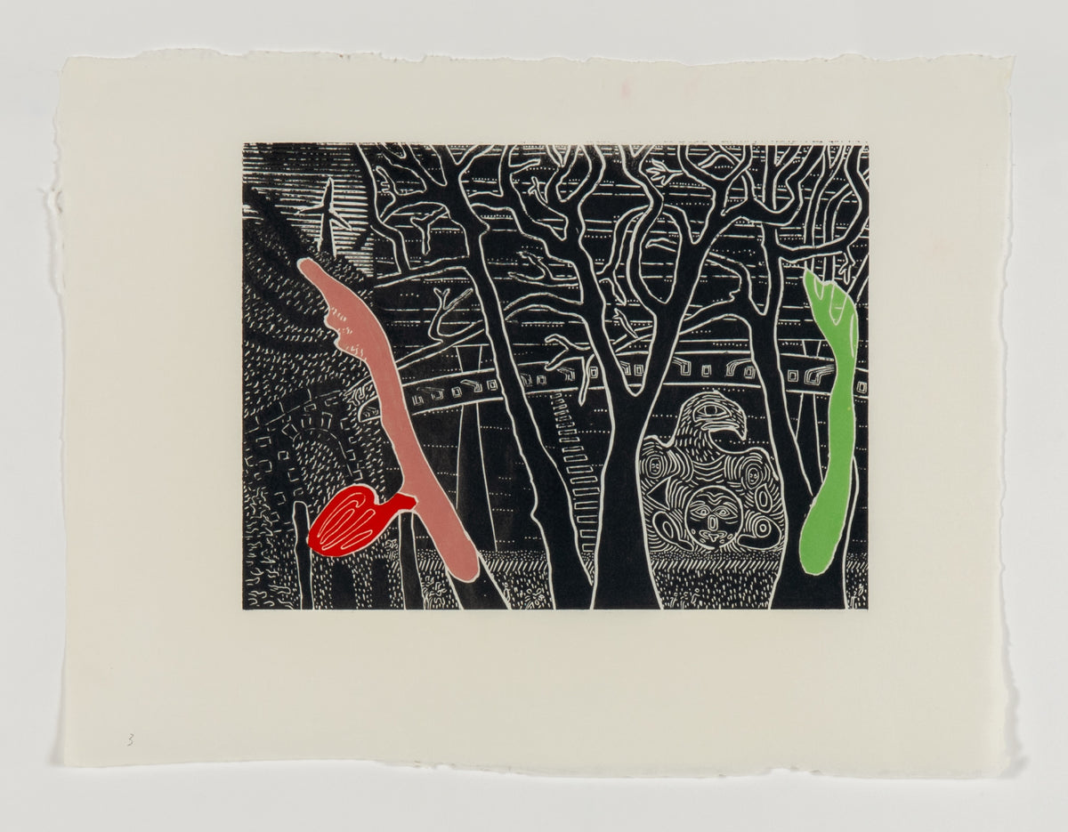 Arnold Shives, Lonsdale Mountain View [Stage 3], 2013