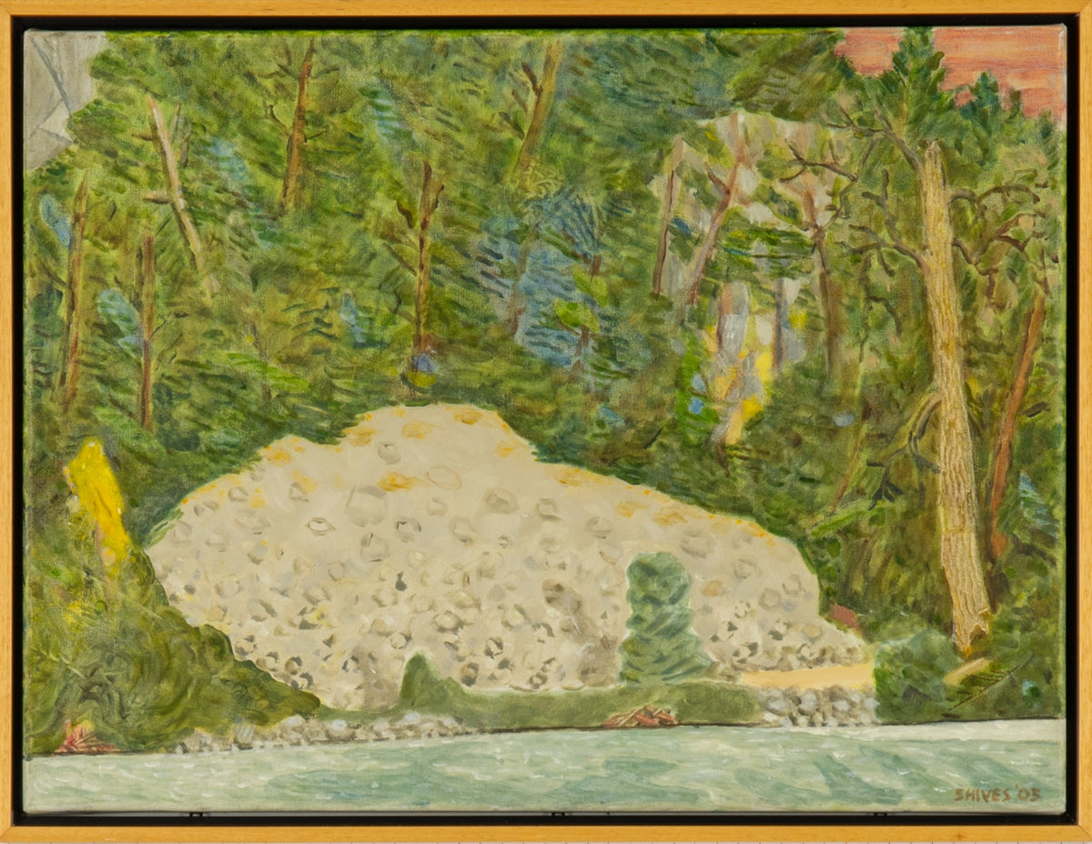 Arnold Shives, Paradise Valley/Cheakumus R., 2005. Image of a forest with lush greenery with an abstract grey shape in the center by the water.