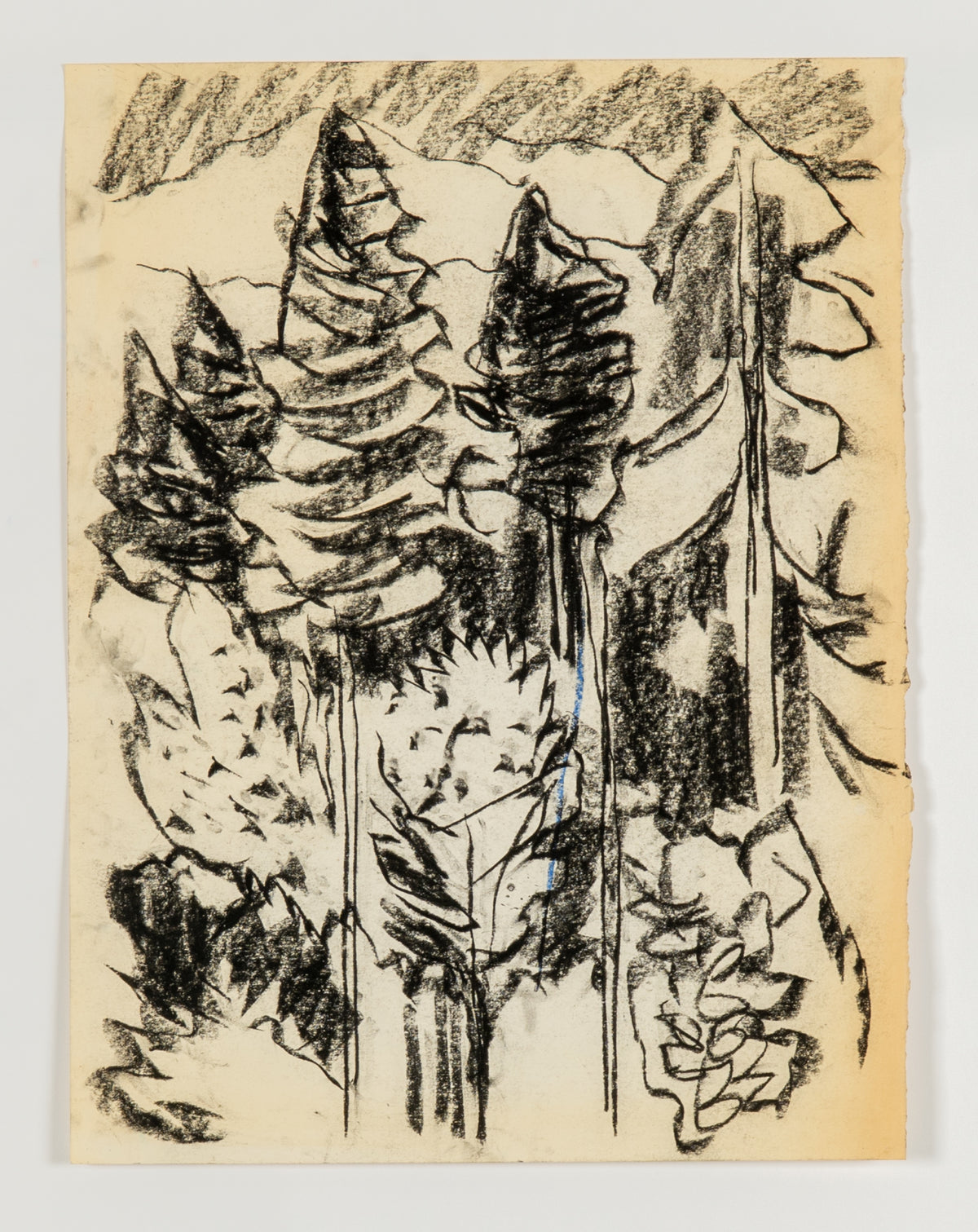 Gordon Smith, Untitled [Forest Section], 2007