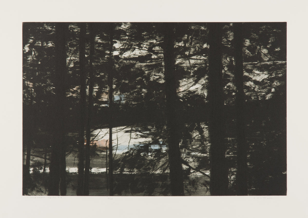 Gordon Smith, Middle Beach, Pacific Rim, 2002