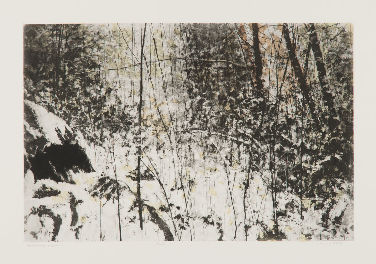 Gordon Smith, February Thaw, 2004